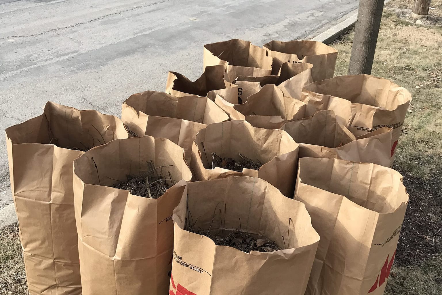 Neat pile of branches and yard-waste bags beside a driveway